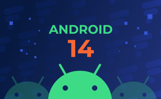 This represents the Android 14 beta.